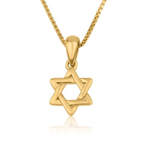 14k Gold Pendant Necklace - Star of David