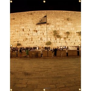 Panoramic Western Wall Sukkah Single-Wall Panel 6 ft Width