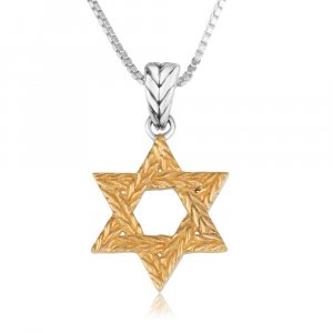 Sterling Necklace of Sterling Silver Gold Plated - Star of David Textured