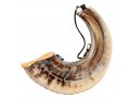 Anointing Rams Horn Shofar with Painted Fish Design