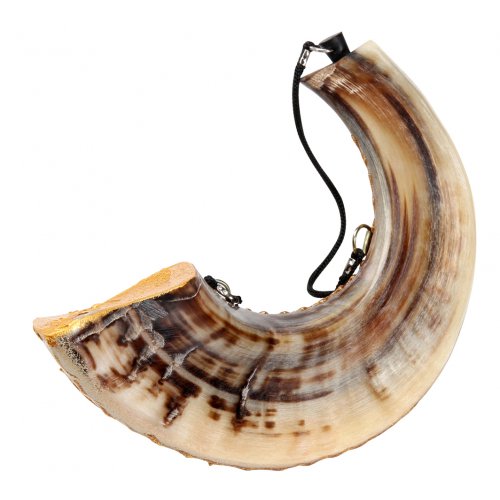 Anointing Rams Horn Shofar with Painted Fish Design