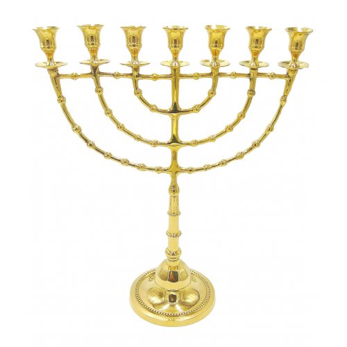 Extra Large Gleaming Gold Colored Brass Seven Branch Menorah on Stem - 18