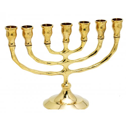 Gleaming Gold Brass Small Seven Branch Menorah - 6