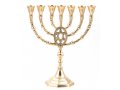 Gold Colored Brass Seven Branch Menorah, Framed Star of David  10