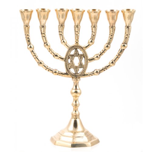 Gold Colored Brass Seven Branch Menorah, Framed Star of David  10