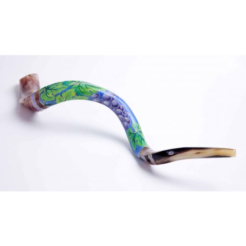 Grape Design Hand Painted Yemenite Shofar