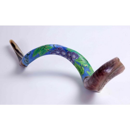 Grape Design Hand Painted Yemenite Shofar