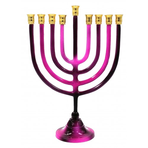 Hanukkah Menorah on Stem Shades of Pink, Aluminum - For Candles