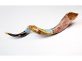 Jerusalem Hand Painted Yemenite Shofar