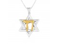 Pendant of Star of David with 14K Gold Plated Chai Letters  Sterling Silver Necklace