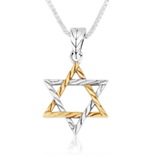 Star of David Braided Pendant Necklace in a Two Tone  Sterling Silver and Gold Plate