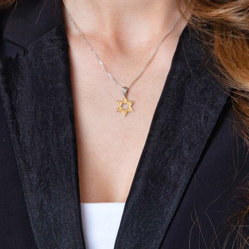 Sterling Necklace of Sterling Silver Gold Plated - Star of David Textured