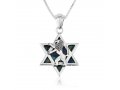 Sterling Silver Pendant Necklace, Lion of Judah on Star of David and Eilat Stone