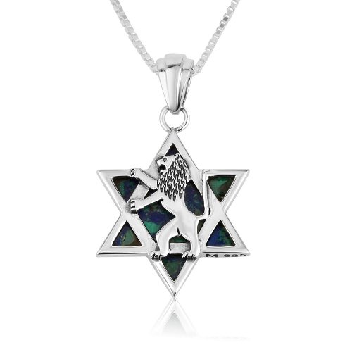 Sterling Silver Pendant Necklace, Lion of Judah on Star of David and Eilat Stone