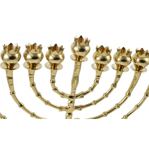 Tall Bronze Chanukah Menorah, Pomegranate Shaped Cups - Height 16 Inches