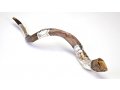 Temple in Jerusalem Silver Yemenite Shofar