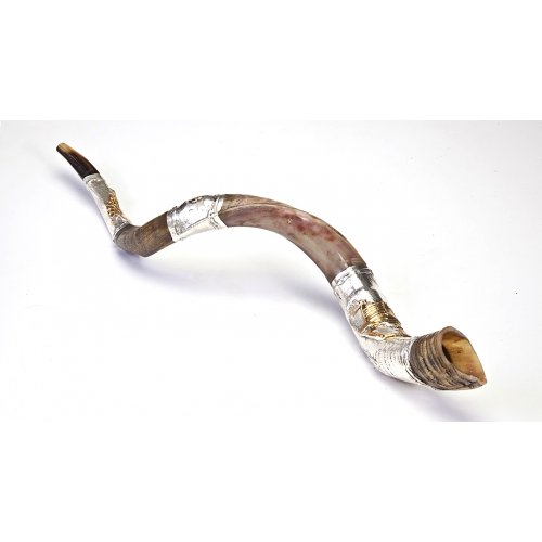 Temple in Jerusalem Silver Yemenite Shofar