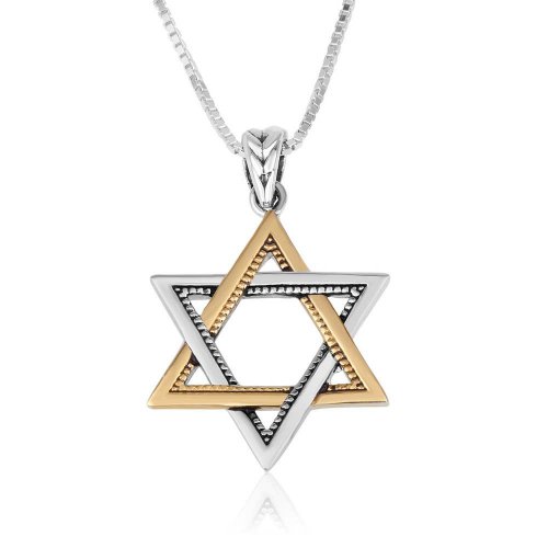 Two Tone Pendant Necklace  Sterling Silver and 15K Gold Plated Star of David