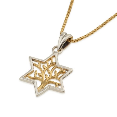 Two Tone Pendant Necklace, Sterling Silver Star of David and Gold Plate Tree of Life