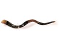 Western Wall Hand Painted Yemenite Shofar