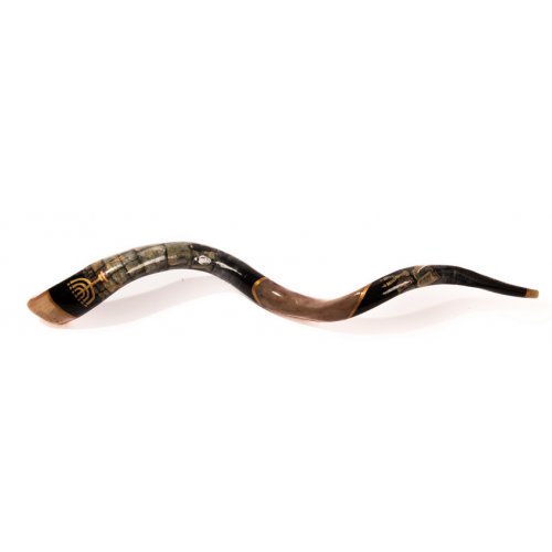 Western Wall Hand Painted Yemenite Shofar