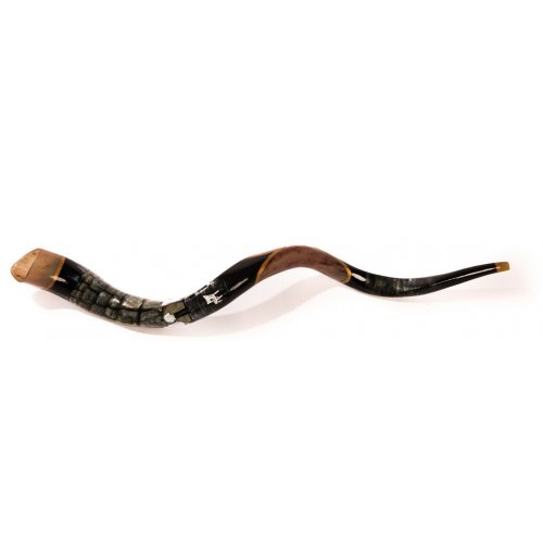 Western Wall Hand Painted Yemenite Shofar