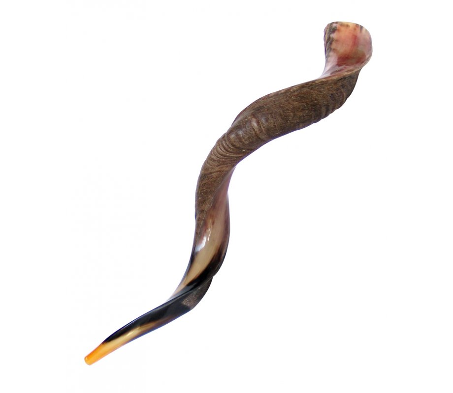 XL Half Polished Half Natural Yemenite Shofar