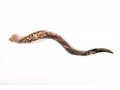 Yemenite Shofar with Hand Sculptured Seven Species Design